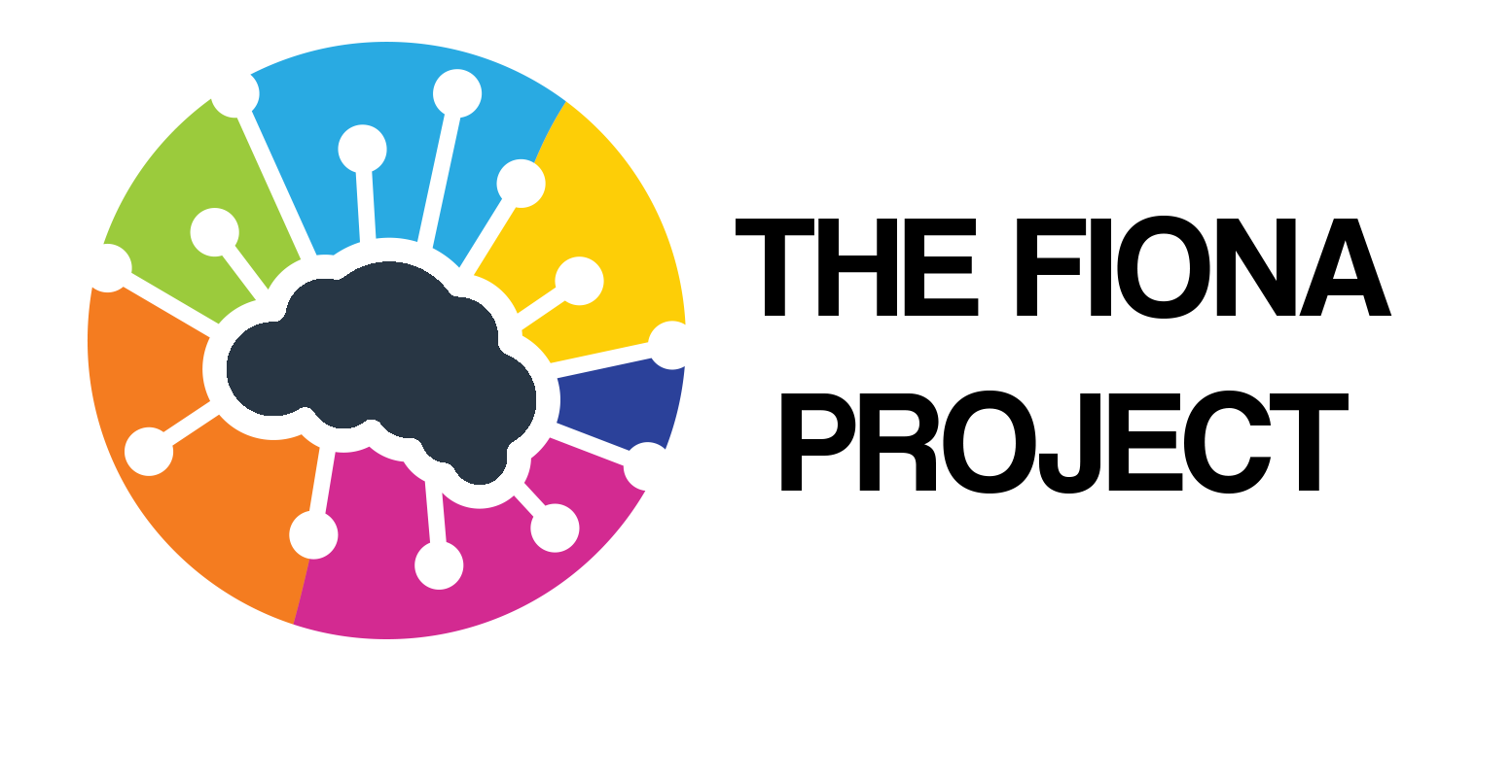 Fiona Project, ADHD, Assessment, Treatment, Diagnosis, Coaching and aftercare. What Happens Next?